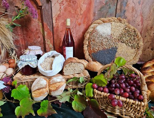 Erntedank – eine dankbare Nachdenklichkeit